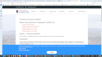 Alegere de discutie a unui web site de primarie - Primaria Vanatori